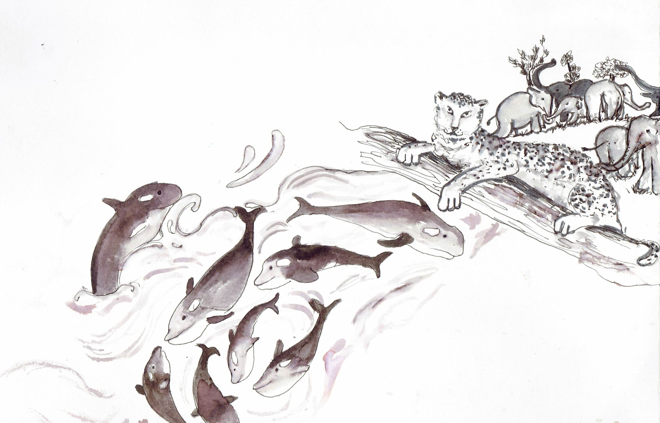 What we can learn from animals…