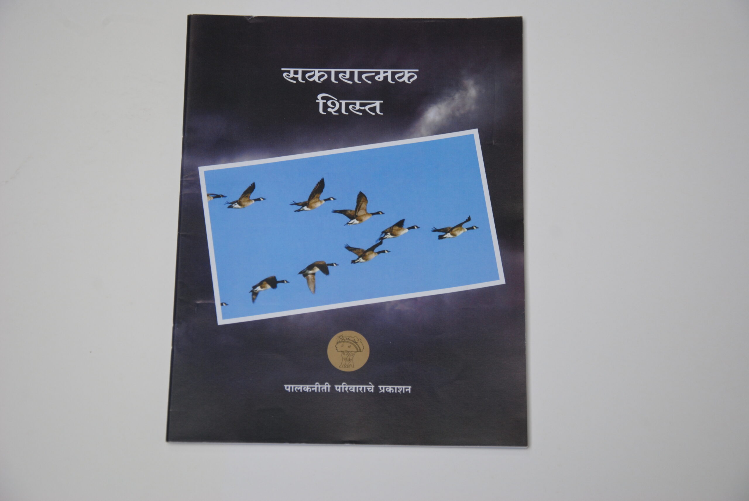 सकारात्मक शिस्त