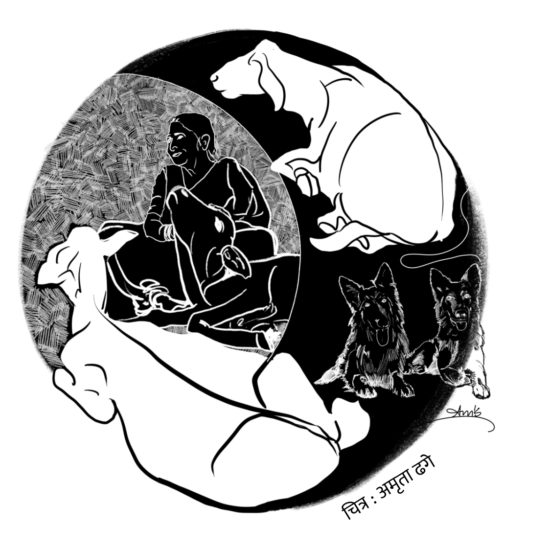 प्राणी आणि प्रेम